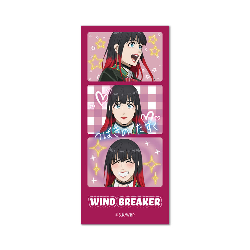WIND BREAKER - Heisei Print Sticker Style Clear Card Collection