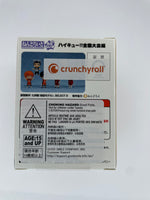 Load image into Gallery viewer, Haikyu!! Nationals Arc - Nendoroid Surprise
