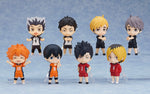 Load image into Gallery viewer, Haikyu!! Nationals Arc - Nendoroid Surprise
