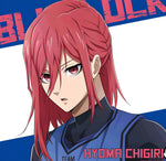 Load image into Gallery viewer, Hyoma Chigiri - Blue Lock China Kung-Fu! Clear File
