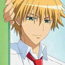 Takumi Usui - Nendoroid Maid Sama!