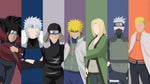 Load image into Gallery viewer, MEGA CAT PROJECT NARUTO Shippuden Nyaruto! Master and Pupil / Bond Ver.
