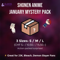 January Mystery Pack: SHONEN Anime