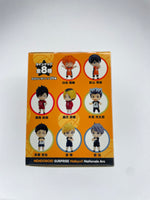 Load image into Gallery viewer, Haikyu!! Nationals Arc - Nendoroid Surprise
