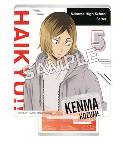 [Pre-Order] Haikyuu!! - Shoesfit ZOOMY Acrylic Stand