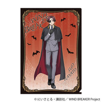 [Pre-order] Hayato Suo - WIND BREAKER Clear File