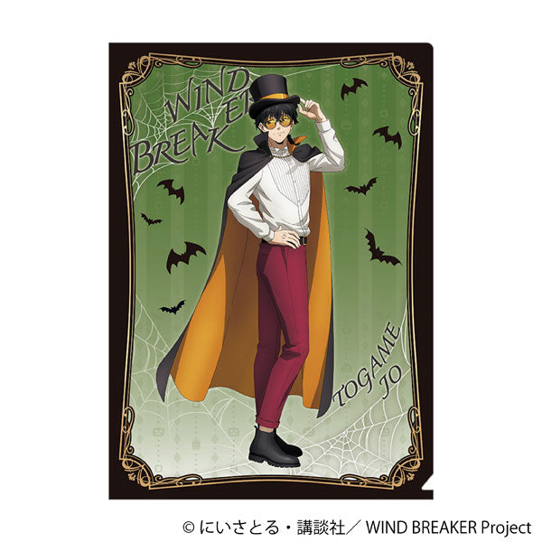 [Pre-order] Jou Togame - WIND BREAKER Clear File