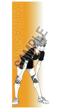 [Pre-order] Shoyo Hinata - Haikyuu!! Portrait Series BIG Fabric Poster