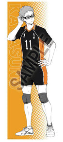 [Pre-order] Kei Tsukishima - Haikyuu!! Portrait Series BIG Fabric Poster