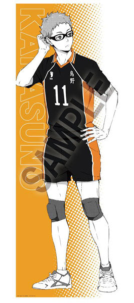[Pre-order] Kei Tsukishima - Haikyuu!! Portrait Series BIG Fabric Poster