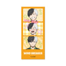 WIND BREAKER - Heisei Print Sticker Style Clear Card Collection