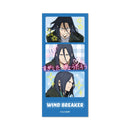 WIND BREAKER - Heisei Print Sticker Style Clear Card Collection
