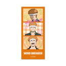 WIND BREAKER - Heisei Print Sticker Style Clear Card Collection