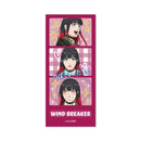 WIND BREAKER - Heisei Print Sticker Style Clear Card Collection