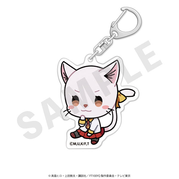[Pre-order] FAIRY TAIL 100 Years Quest - Acrylic Keychains
