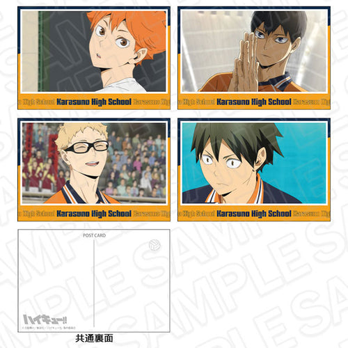 [Pre-order] Haikyuu!! - Postcard Set Karasuno High School D