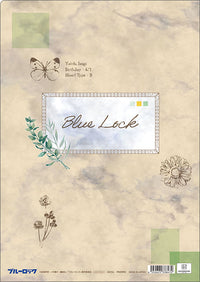[Pre-order] Yoichi Isagi - Blue Lock Season 2 Clear File