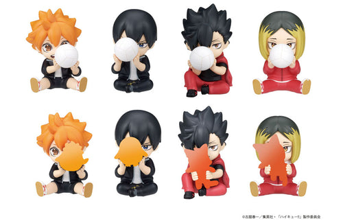 [Pre-order] Haikyuu!! - PERIHAPI! Hide & Seek Karasuno / Nekoma BLIND PACK