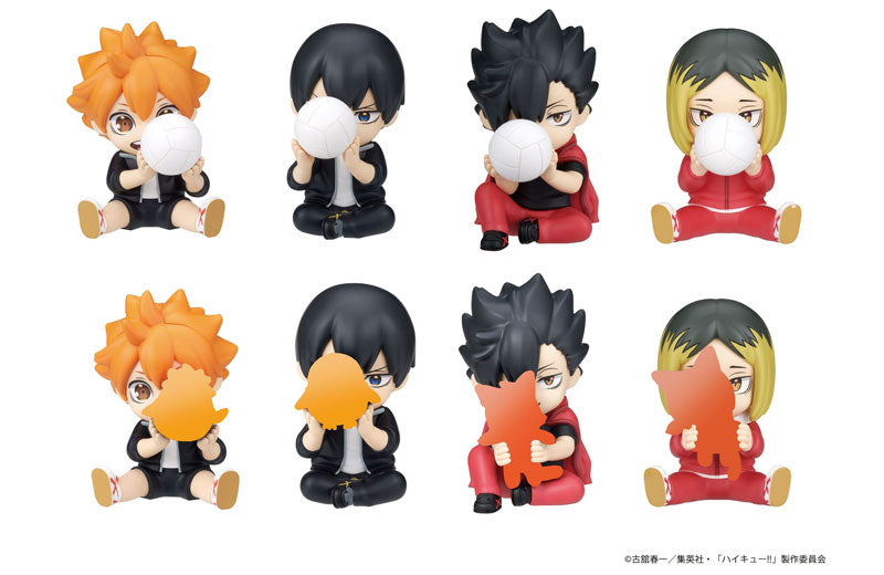 [Pre-order] Haikyuu!! - PERIHAPI! Hide & Seek Karasuno / Nekoma BLIND PACK