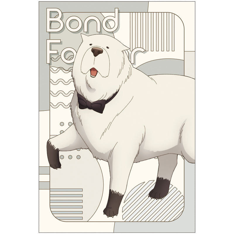 [Pre-Order] Spy x Family - Postcard Set Season 3 Character Visual