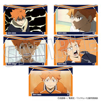 [Pre-order] Shoyo Hinata - Haikyuu!! Postcard Set