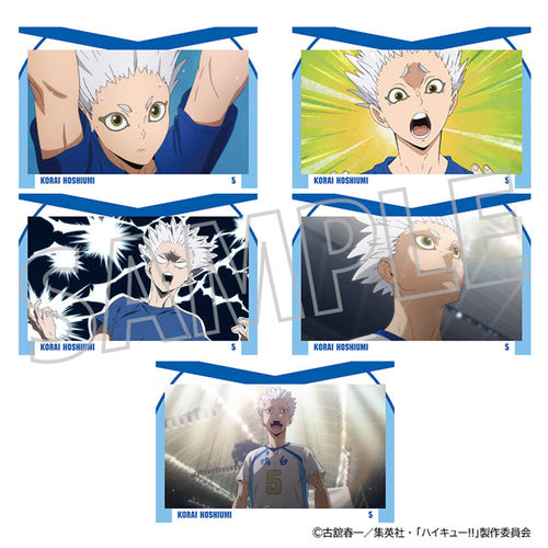 [Pre-order] Kourai Hoshiumi - Haikyuu!! Postcard Set