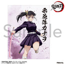 [Pre-order] Kanao Tsuyuri - Demon Slayer: Kimetsu no Yaiba Mini Canvas