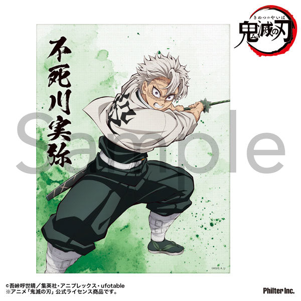 [Pre-order] Sanemi Shinazugawa - Demon Slayer: Kimetsu no Yaiba Mini Canvas