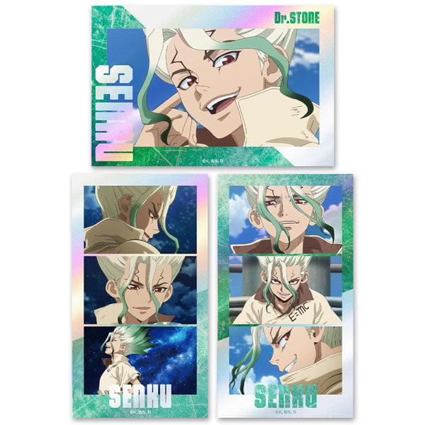 [Pre-order] Senku Ishigami - Dr. STONE Thumbnail Shiny Sticker Set
