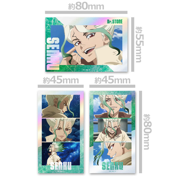 [Pre-order] Senku Ishigami - Dr. STONE Thumbnail Shiny Sticker Set