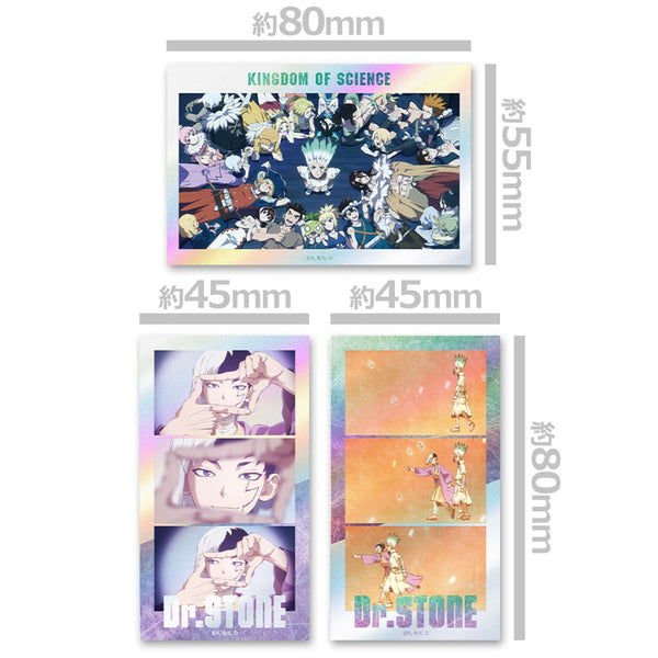 [Pre-order] Dr. STONE - Thumbnail Shiny Sticker Set ED ver.