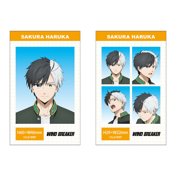 [Pre-order] WIND BREAKER - Season 2 ID Photo Style Bromide (Glossy Card) Sets