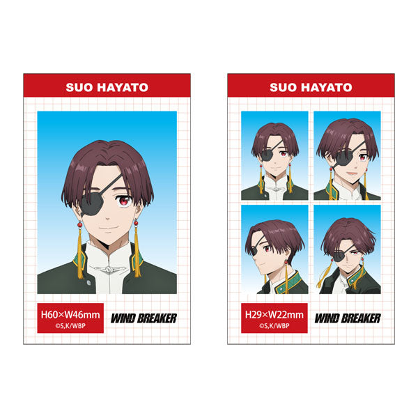 [Pre-order] WIND BREAKER - Season 2 ID Photo Style Bromide (Glossy Card) Sets