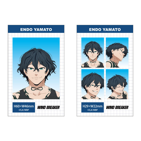 [Pre-order] WIND BREAKER - Season 2 ID Photo Style Bromide (Glossy Card) Sets