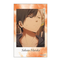 [Pre-order] WIND BREAKER - Season 2 Instant Photo Style Bromide (Glossy Card) Collection Vol.4