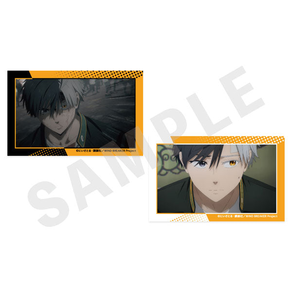 [Pre-order] Haruka Sakura - WIND BREAKER -favorite series- Visual Card Set