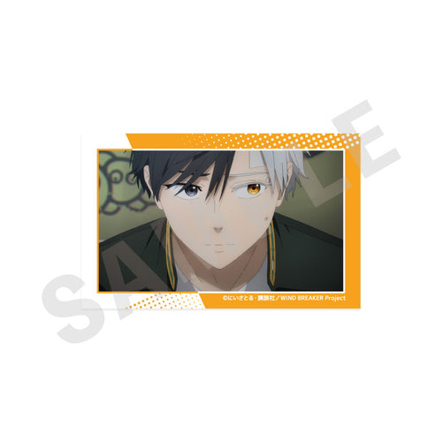 [Pre-order] Haruka Sakura - WIND BREAKER -favorite series- Visual Card Set