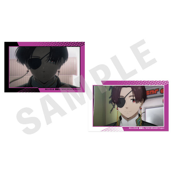 [Pre-order] Hayato Suo - WIND BREAKER -favorite series- Visual Card Set