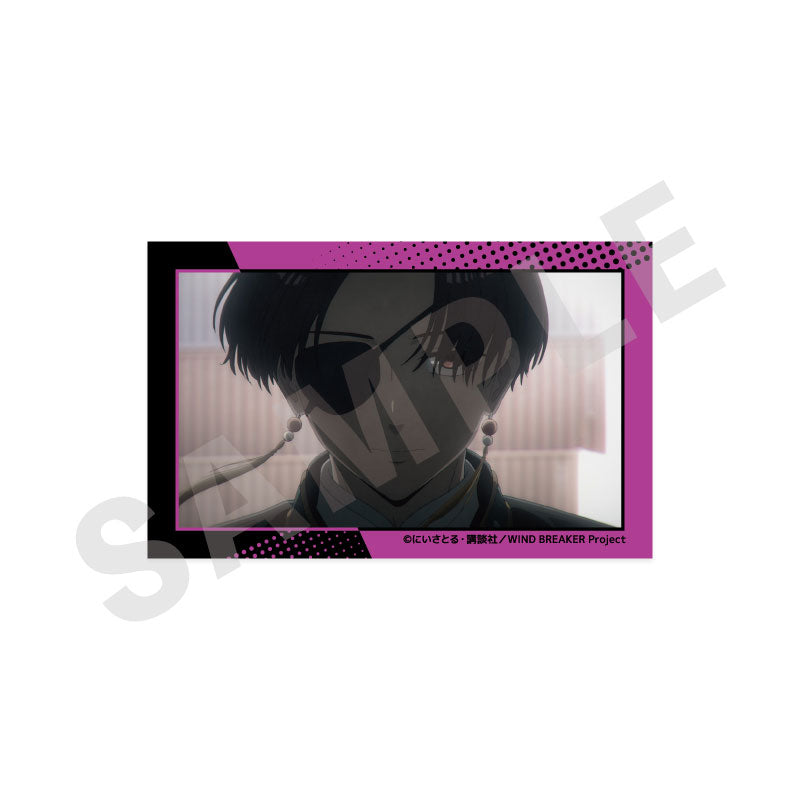 [Pre-order] Hayato Suo - WIND BREAKER -favorite series- Visual Card Set