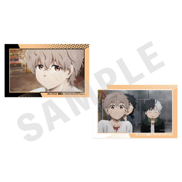[Pre-order] Chouji Tomiyama - WIND BREAKER -favorite series- Visual Card Set