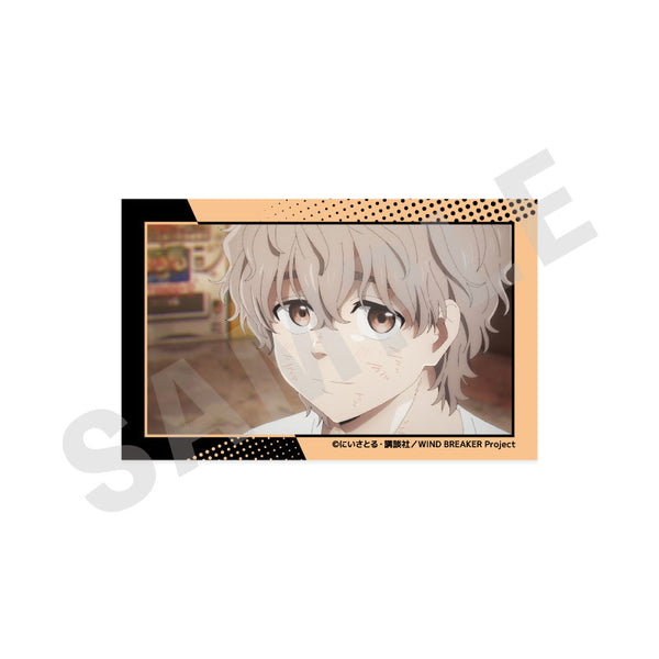 [Pre-order] Chouji Tomiyama - WIND BREAKER -favorite series- Visual Card Set