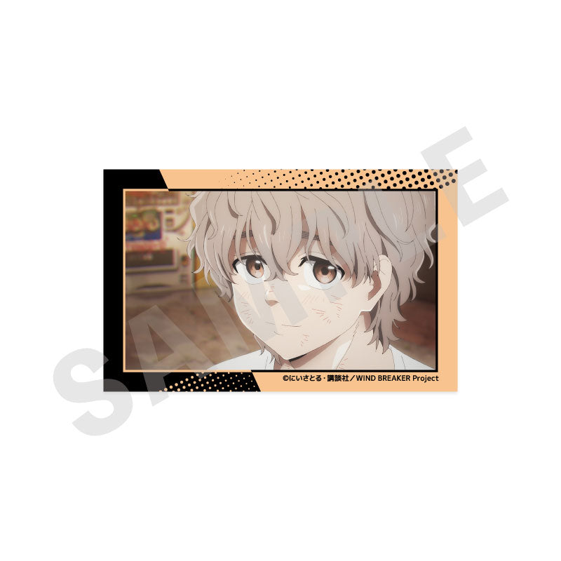 [Pre-order] Chouji Tomiyama - WIND BREAKER -favorite series- Visual Card Set