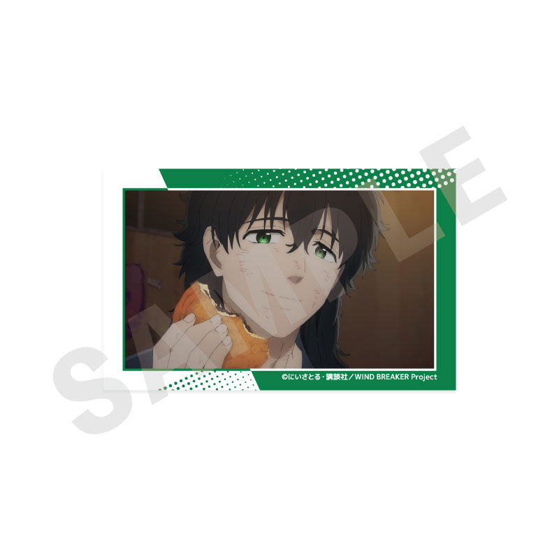[Pre-order] Jou Togame - WIND BREAKER -favorite series- Visual Card Set