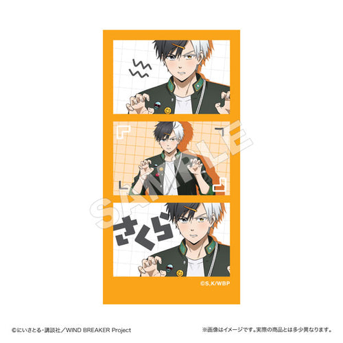 [Pre-order] Haruka Sakura - WIND BREAKER Sticker