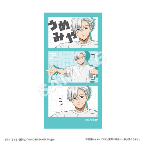 [Pre-order] Hajime Umemiya - WIND BREAKER Sticker