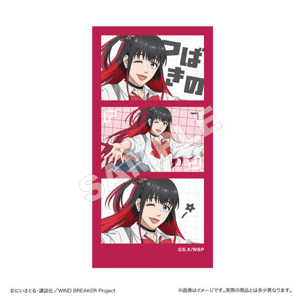 [Pre-order] Tasuku Tsubakino - WIND BREAKER Sticker