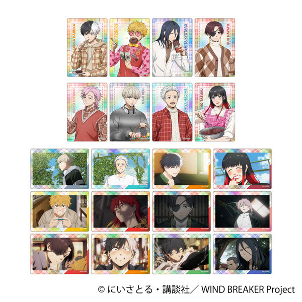 [Pre-order] WIND BREAKER - Aurora Art Collection Cards