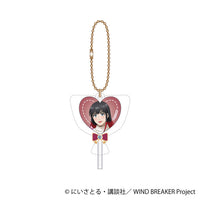 [Pre-order] Tasuku Tsubakino  -Valentine- WIND BREAKER Candy Keychain