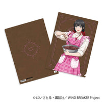 [Pre-order] Tasuku Tsubakino -Valentine- WIND BREAKER Clear File