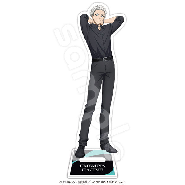 [Pre-order] WIND BREAKER - Acrylic Stand -2026 Calendar ver.-